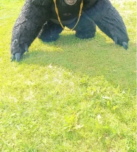 Christmas Real Life Inflatable - огляд і ціна Anime Cosplay Real Life