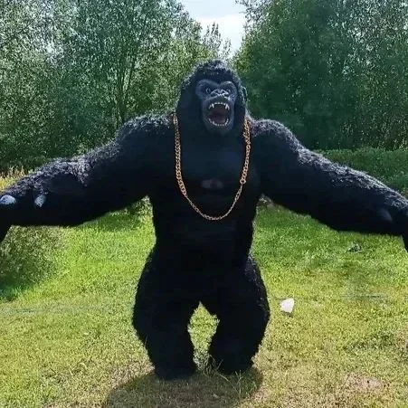 Christmas Real Life Inflatable - огляд і ціна Anime Cosplay Real Life