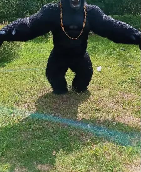 Real Life Inflatable Gorilla C - огляд і ціна Anime Cosplay Real Life