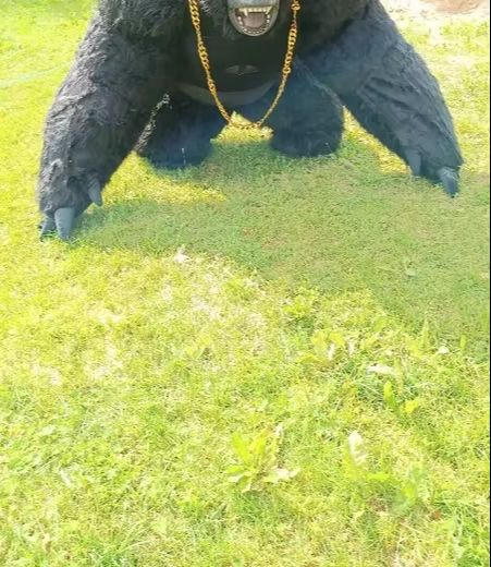 Real Life Inflatable Gorilla C - огляд і ціна Anime Cosplay Real Life