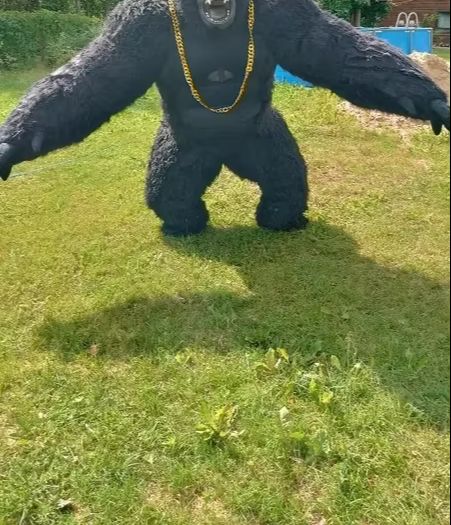 Real Life Inflatable Gorilla C - огляд і ціна Anime Cosplay Real Life
